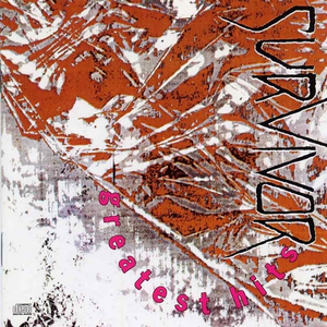 啊啊啊啊啊,不要插,不要舔,不要啊视频
